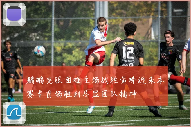 鹈鹕克服困难主场战胜黄蜂迎来本赛季首场胜利尽显团队精神