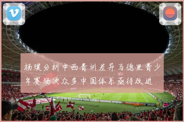 杨璞分析中西青训差异马德里青少年赛场次众多中国体系亟待改进