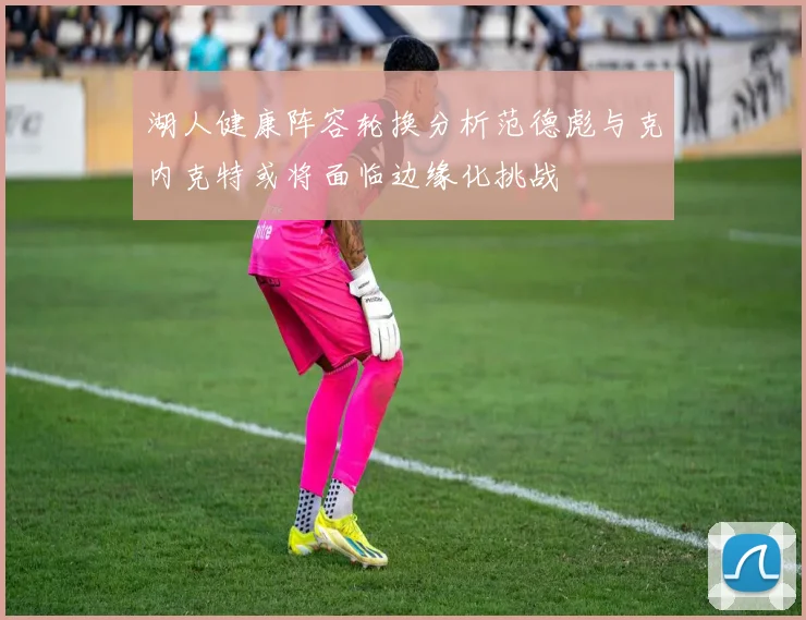 湖人健康阵容轮换分析范德彪与克内克特或将面临边缘化挑战